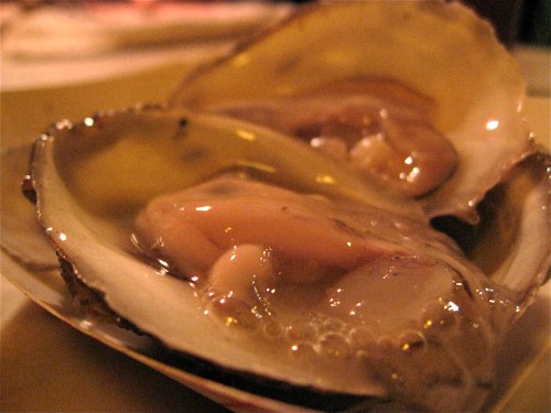 Local Naked Cowboy Oysters from the Long Island Sound