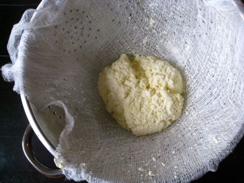 Homemade Ricotta