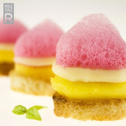 cuisine-r-evolution-cuisine2