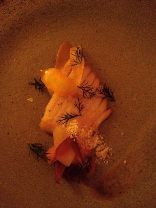 Frej Skate wing, carrot ribbon, pickled onion, fennel frawns