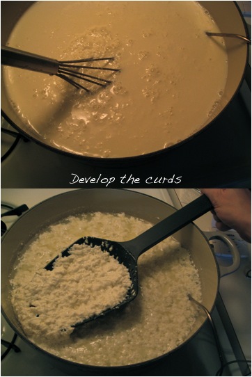Step 2-Develop the Curds