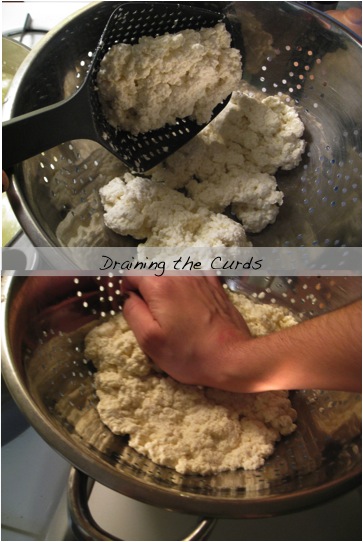 Step 3-Draining the Curds