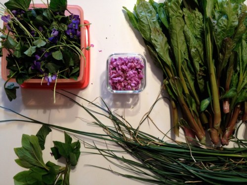 Wild Edible Booty Wild Edible Booty