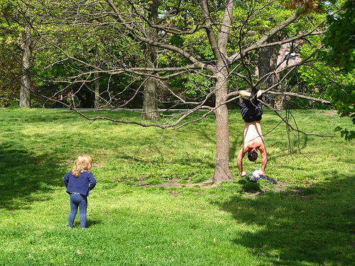 Other Wild Things Other Wild Things