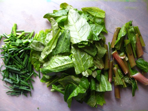 Field Garlic, Pokeweed Leaves and Shoots