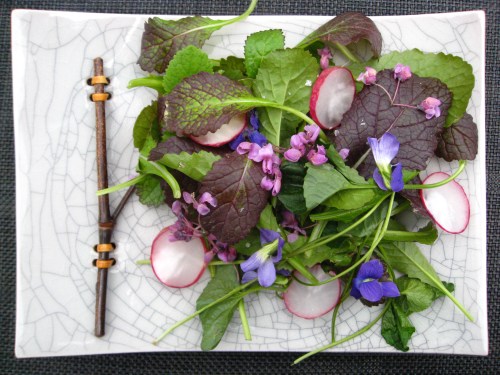 violet-radish spring salad with secret dressing