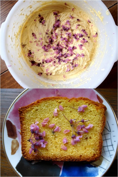 honey vanilla pound cake with red bud flowers