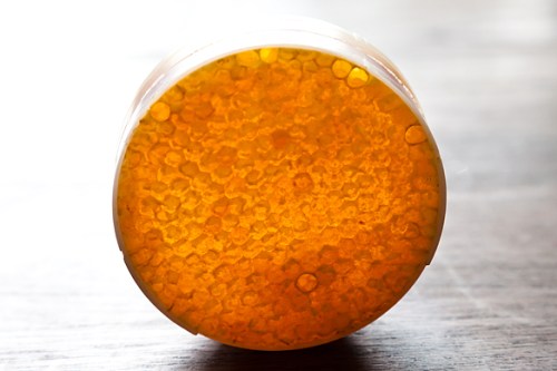 30%+ OFF CATSKILL PROVISIONS RAW HONEY & MAPLE SYRUP COLLECTIONS 30%+ OFF CATSKILL PROVISIONS RAW HONEY & MAPLE SYRUP COLLECTIONS