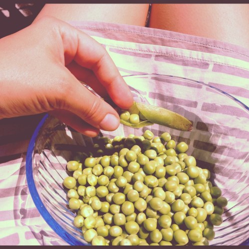 Pea Shelling Sunday
