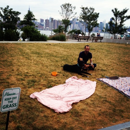 Illiteracy in America Illiteracy in America