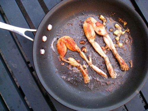 Brown Butter Pond-Caught Frog Legs